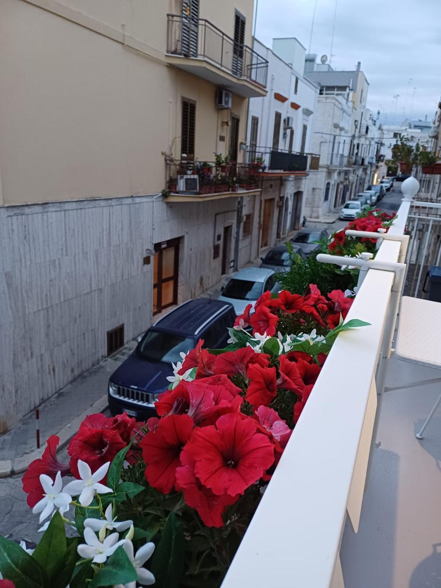 Casa Lina Apartment Mola di Bari Exterior foto
